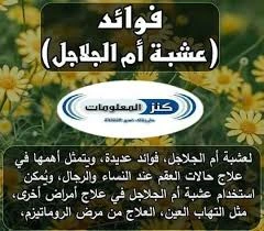 om el jalajil – Image 3