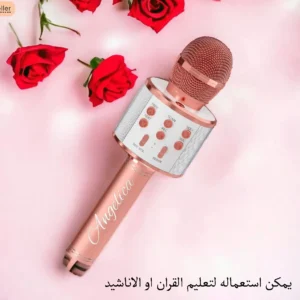 MICROPHONE KAROEKE